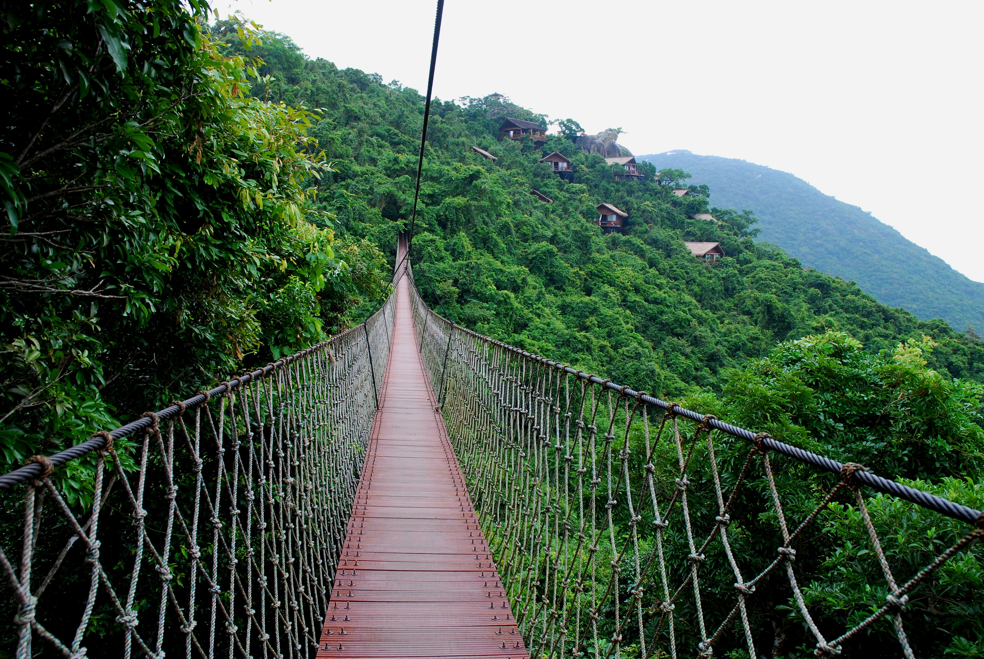 Quantum Energy Walk over the suspension bridge for a one-of-a-kind experience.